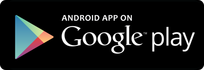 The Google Play Store Icon