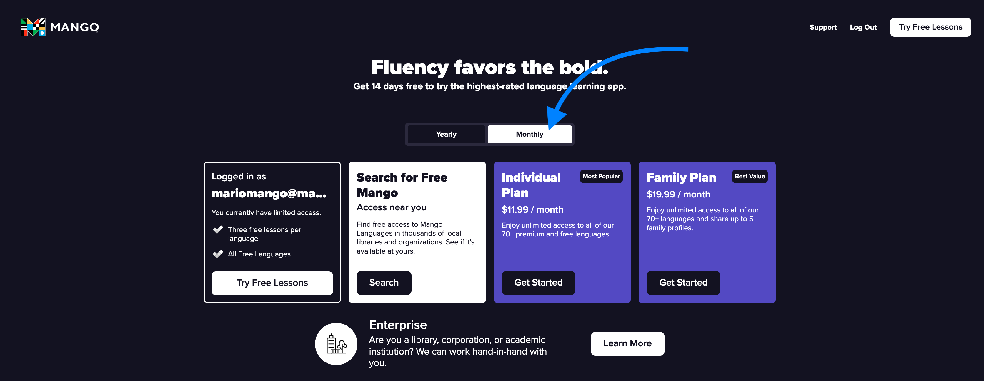 A screenshot looking at the monthly subscription types